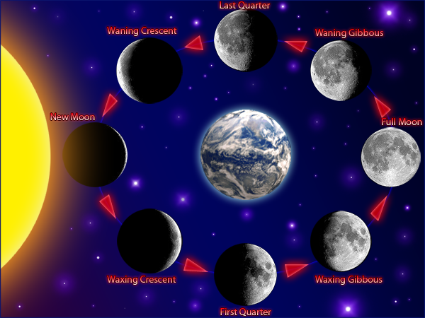 Phases of the Moon - Bob the Alien's Tour of the Solar System - Bob the